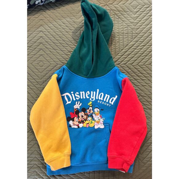 Disney Block Color Hooded Sweatshirt - Size 4 - Unisex - Picture 1 of 7